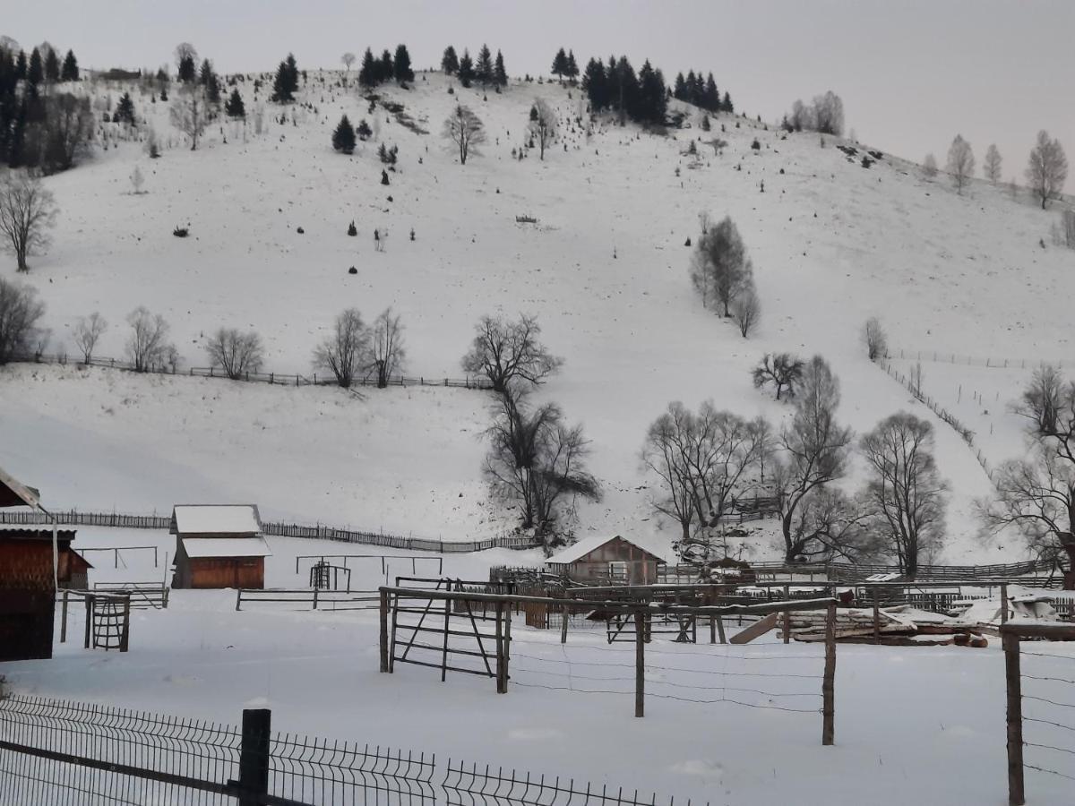 Casa Dumitru Si Elena Ciocanesti Bucovina Extérieur photo