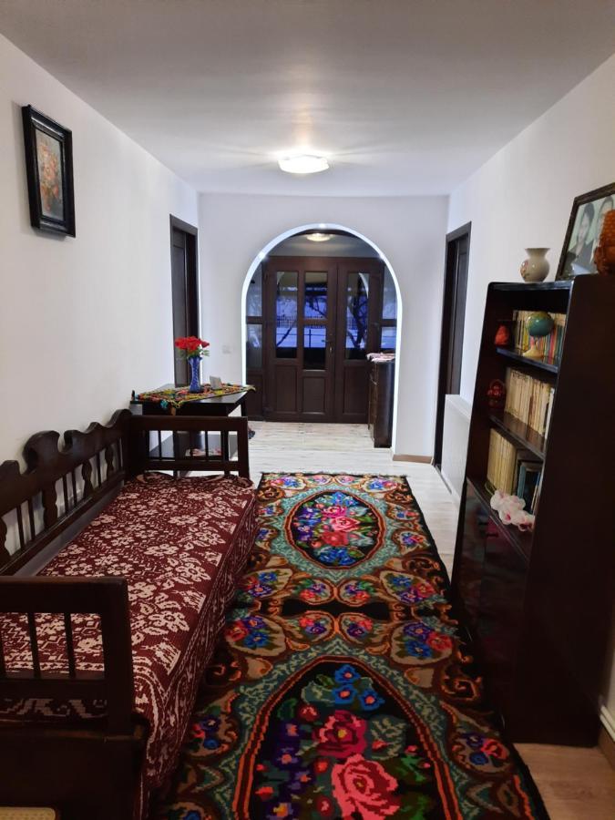 Casa Dumitru Si Elena Ciocanesti Bucovina Extérieur photo