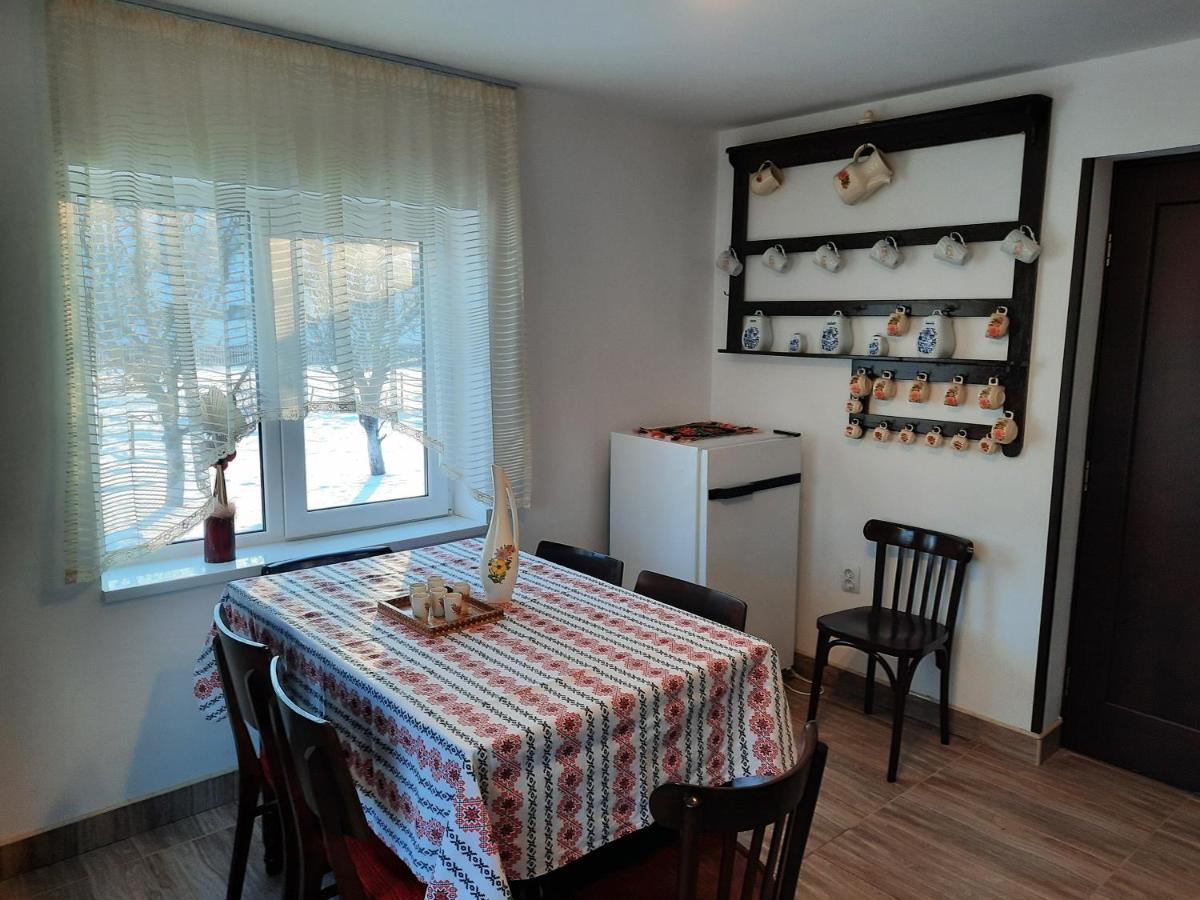 Casa Dumitru Si Elena Ciocanesti Bucovina Extérieur photo