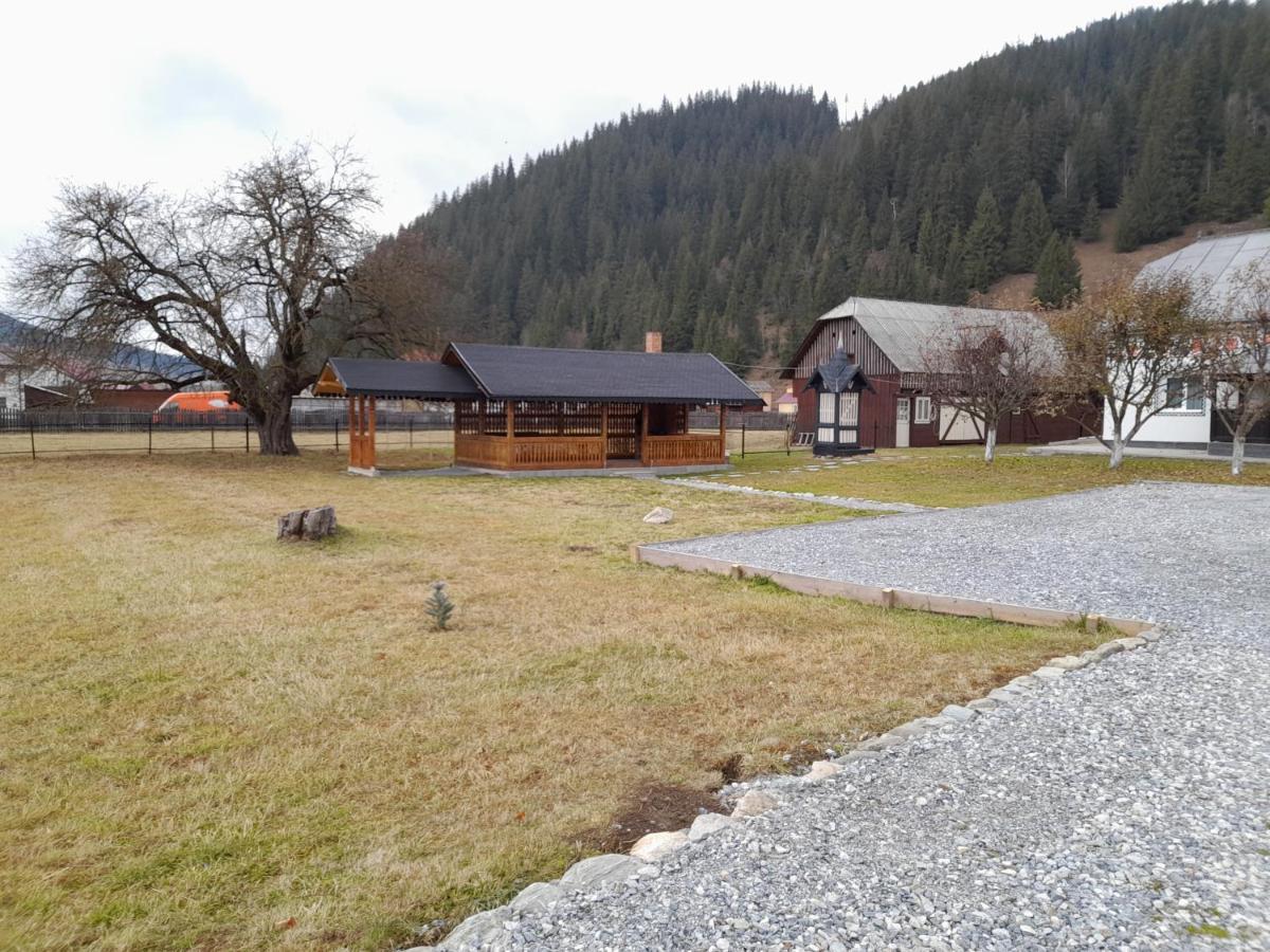 Casa Dumitru Si Elena Ciocanesti Bucovina Extérieur photo