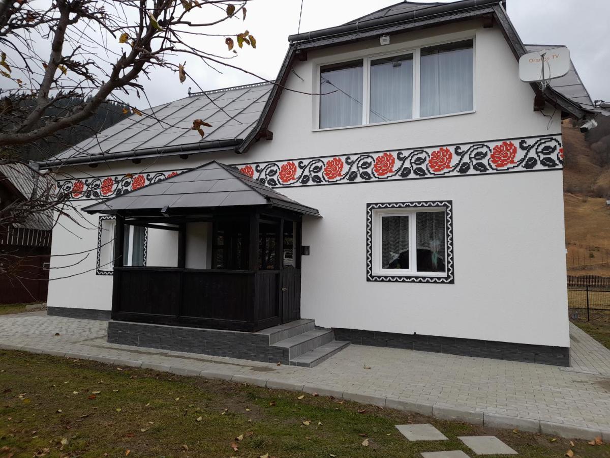 Casa Dumitru Si Elena Ciocanesti Bucovina Extérieur photo