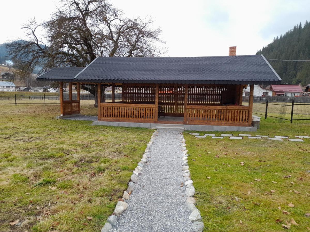 Casa Dumitru Si Elena Ciocanesti Bucovina Extérieur photo