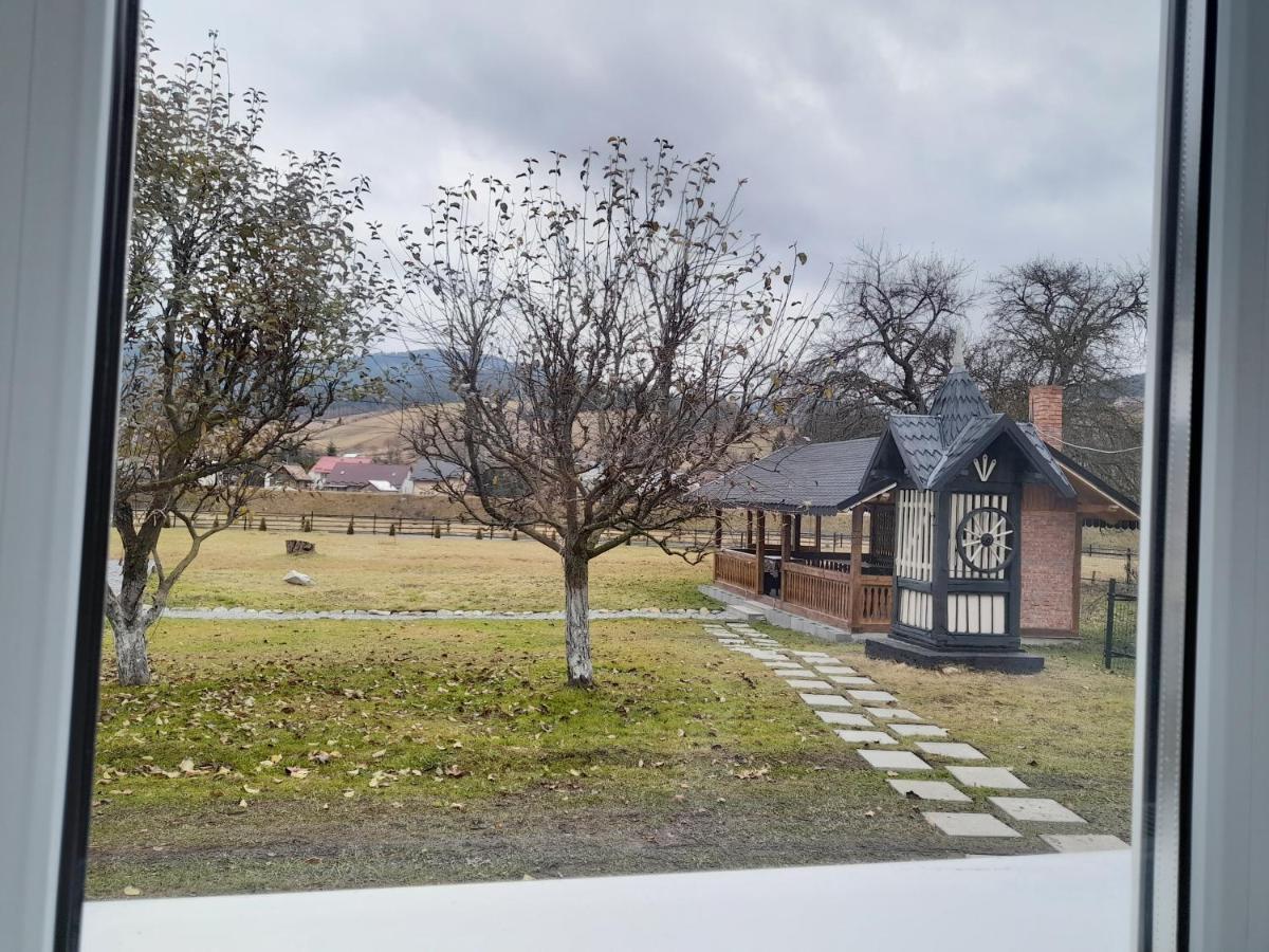 Casa Dumitru Si Elena Ciocanesti Bucovina Extérieur photo