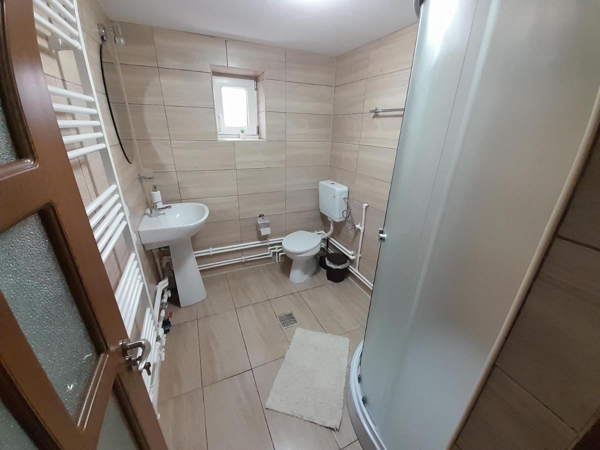 Casa Dumitru Si Elena Ciocanesti Bucovina Extérieur photo