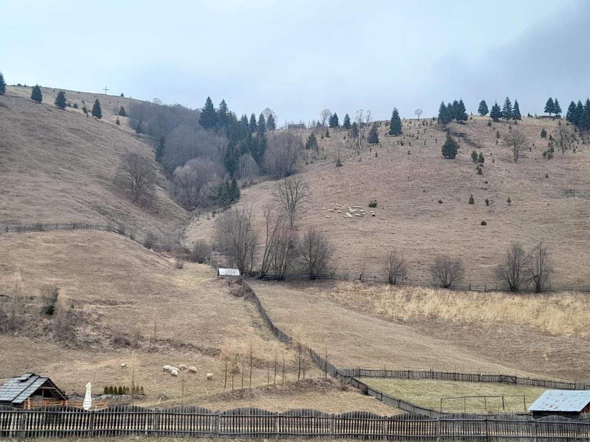 Casa Dumitru Si Elena Ciocanesti Bucovina Extérieur photo