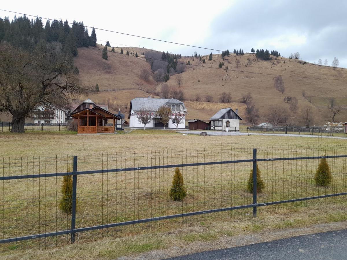 Casa Dumitru Si Elena Ciocanesti Bucovina Extérieur photo