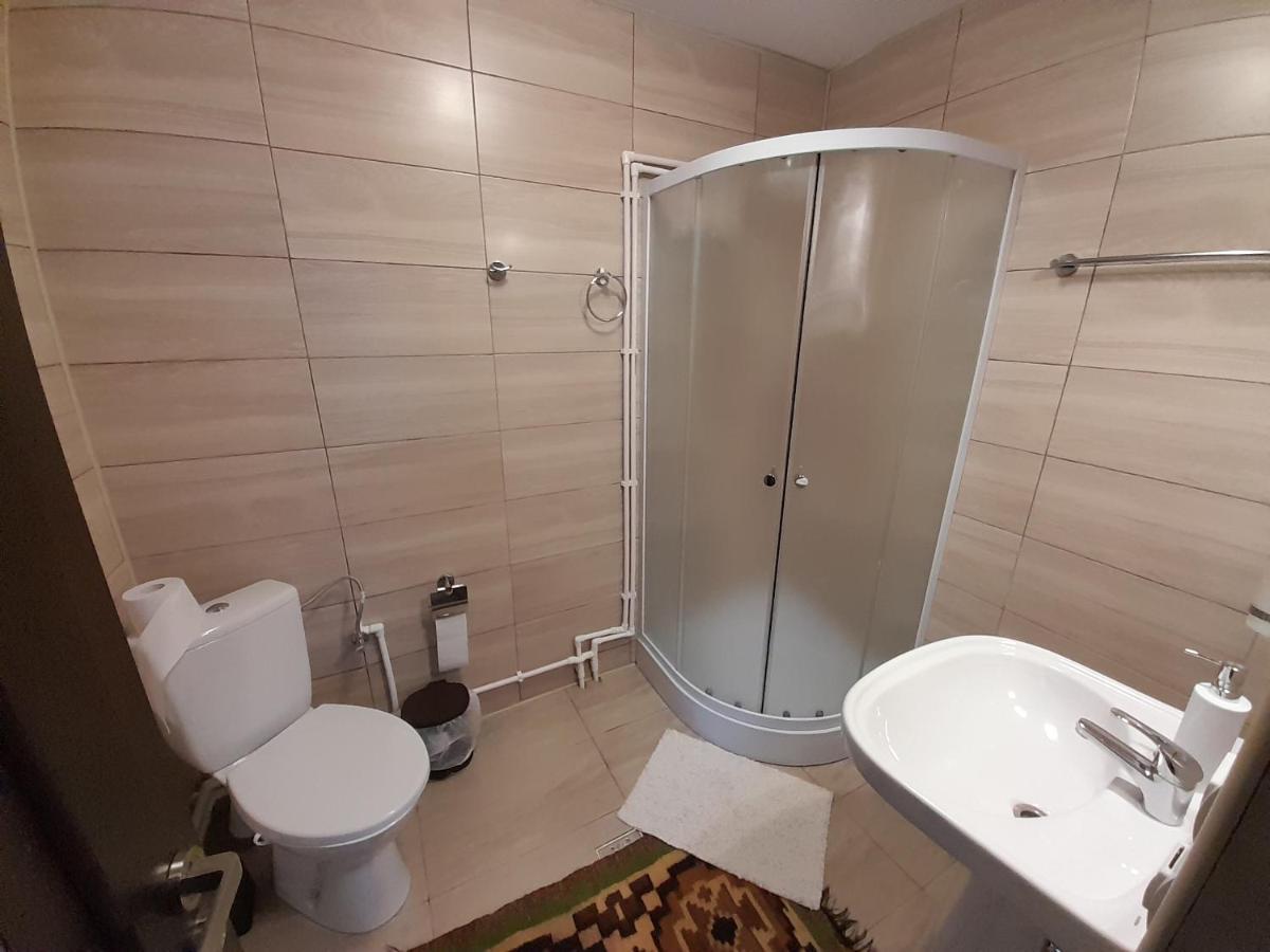 Casa Dumitru Si Elena Ciocanesti Bucovina Extérieur photo