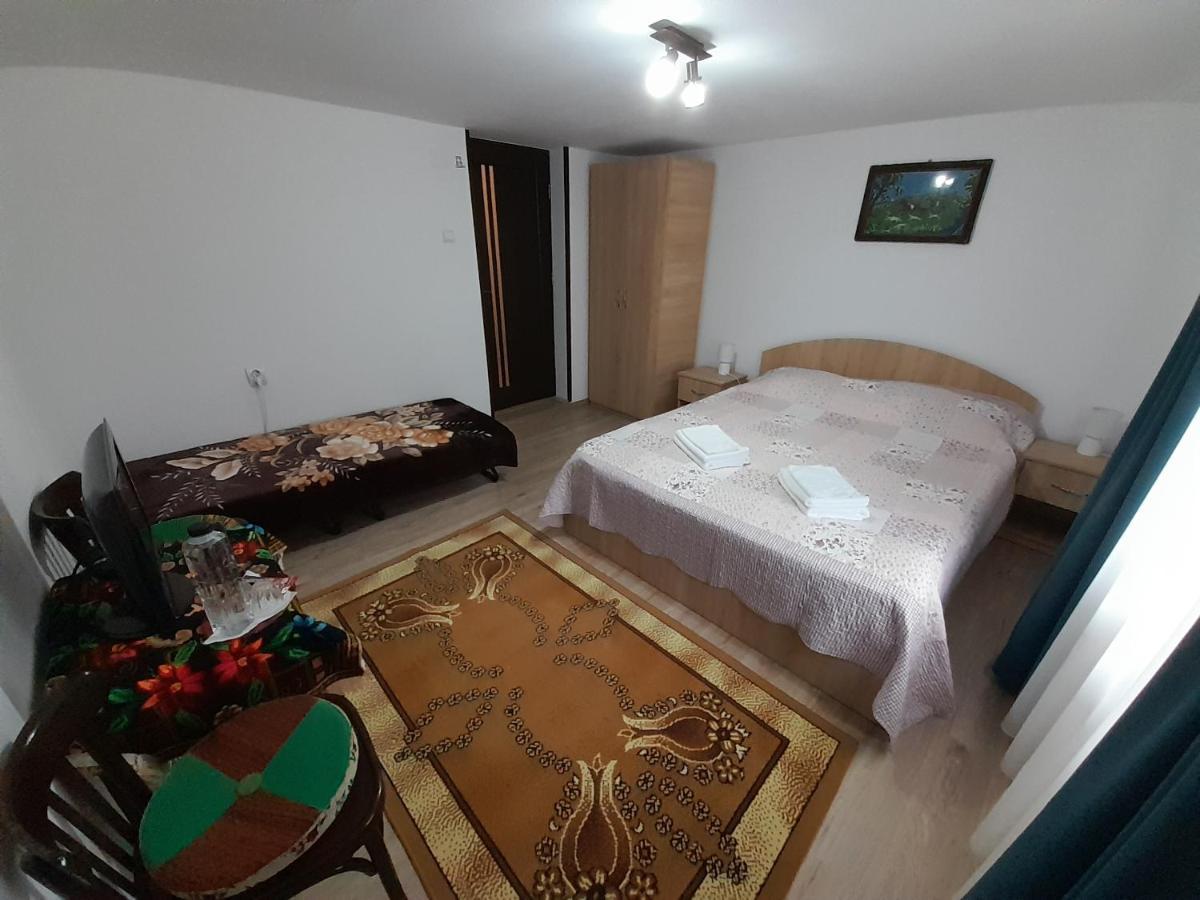 Casa Dumitru Si Elena Ciocanesti Bucovina Extérieur photo