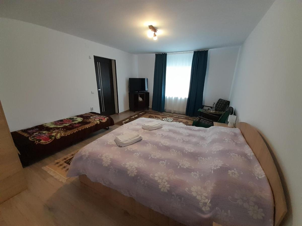 Casa Dumitru Si Elena Ciocanesti Bucovina Extérieur photo