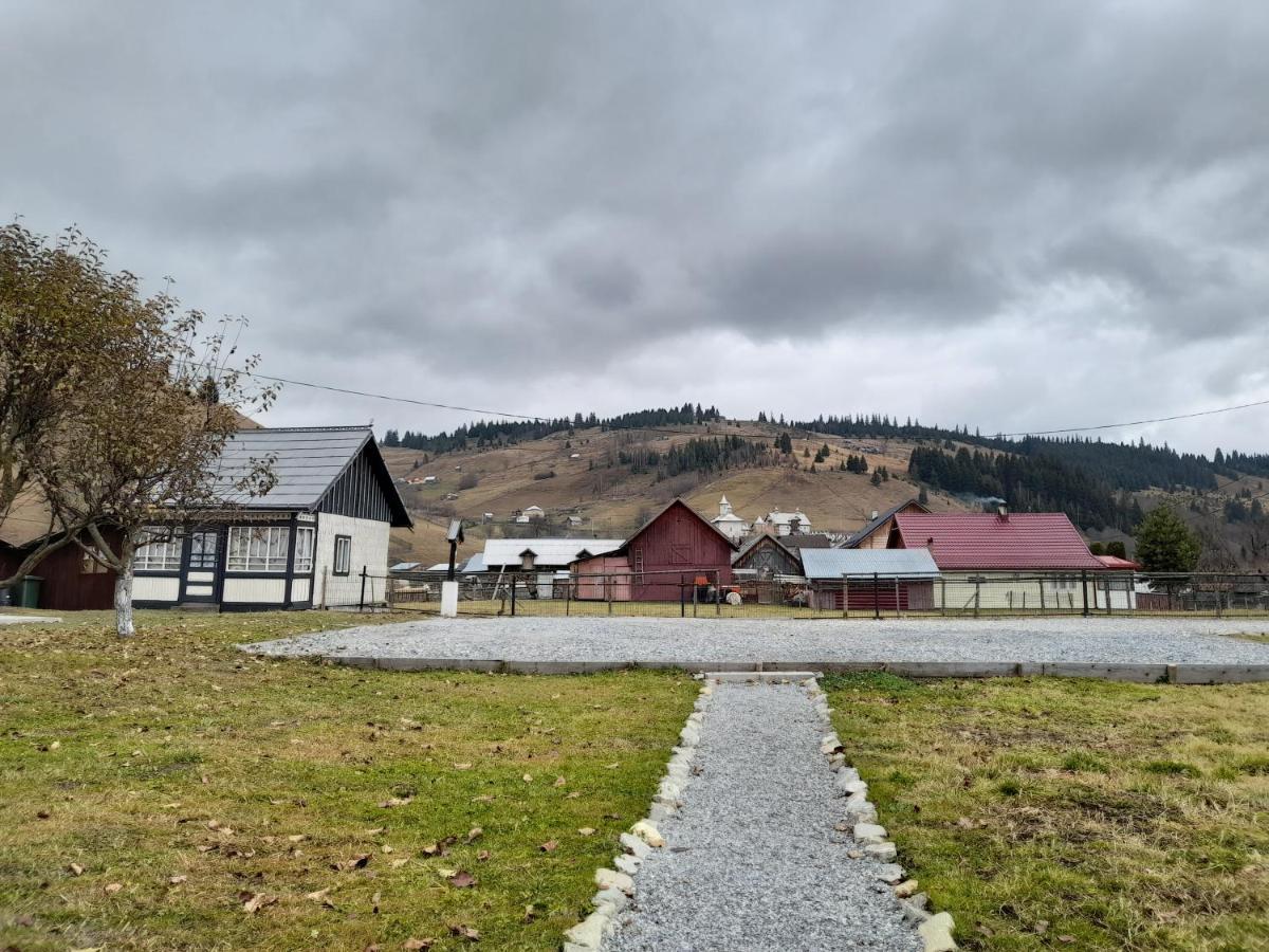 Casa Dumitru Si Elena Ciocanesti Bucovina Extérieur photo