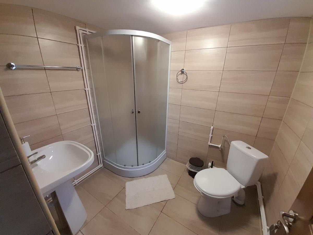 Casa Dumitru Si Elena Ciocanesti Bucovina Extérieur photo