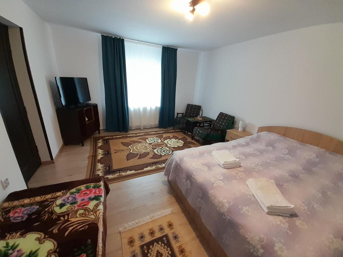 Casa Dumitru Si Elena Ciocanesti Bucovina Extérieur photo