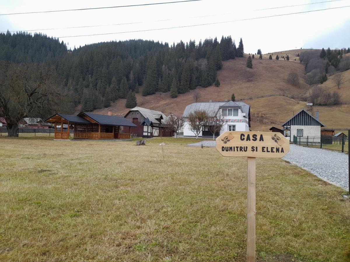 Casa Dumitru Si Elena Ciocanesti Bucovina Extérieur photo