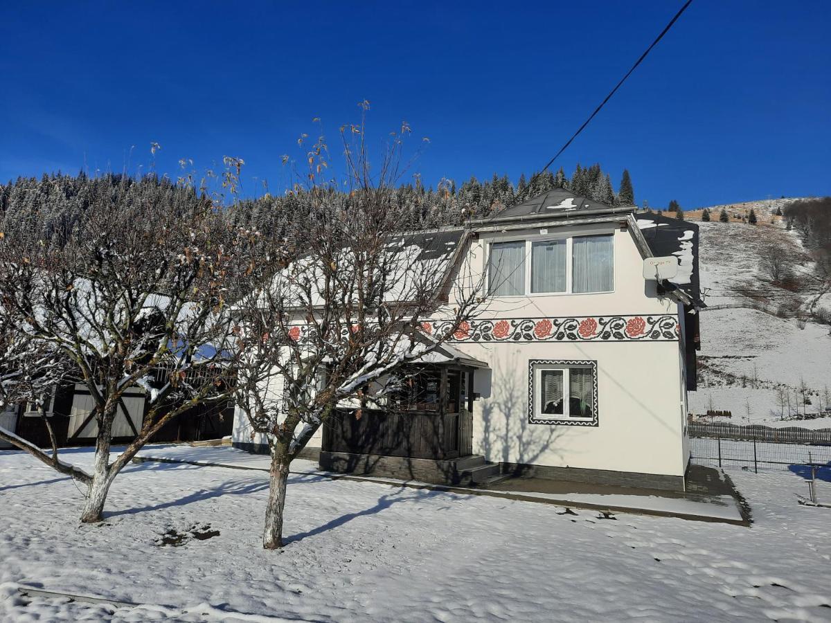 Casa Dumitru Si Elena Ciocanesti Bucovina Extérieur photo