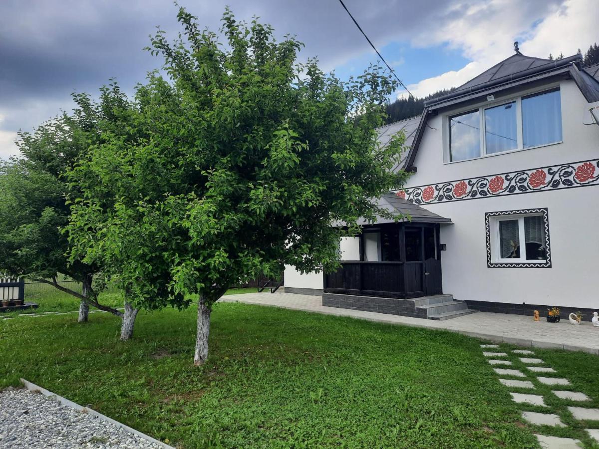 Casa Dumitru Si Elena Ciocanesti Bucovina Extérieur photo