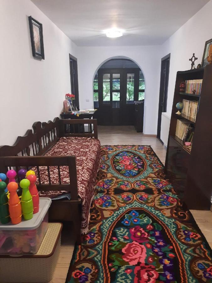 Casa Dumitru Si Elena Ciocanesti Bucovina Extérieur photo