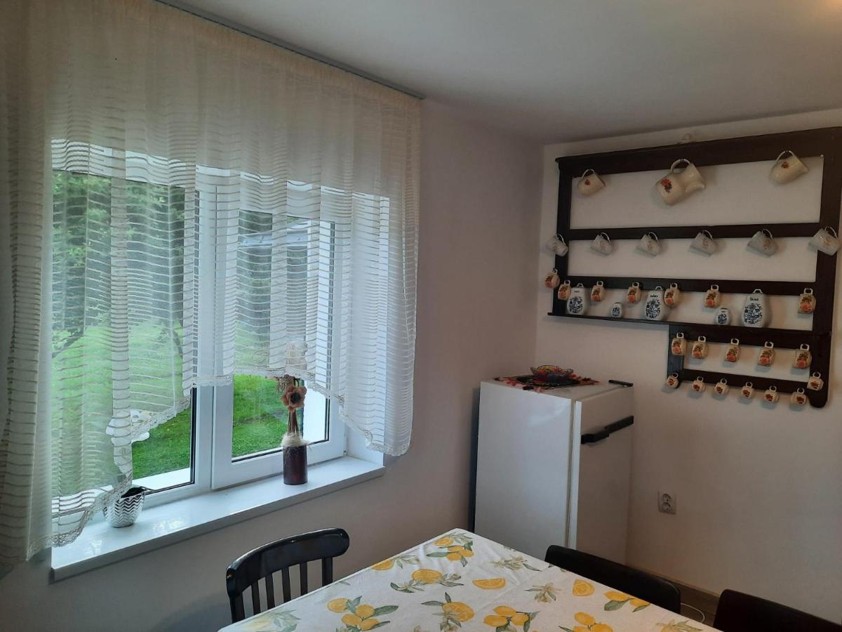 Casa Dumitru Si Elena Ciocanesti Bucovina Extérieur photo