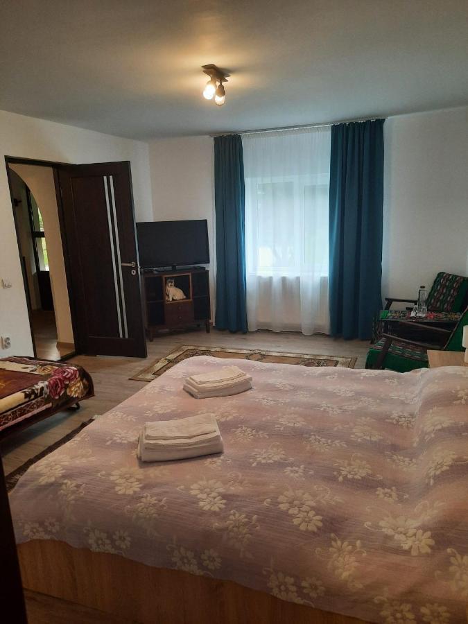Casa Dumitru Si Elena Ciocanesti Bucovina Extérieur photo