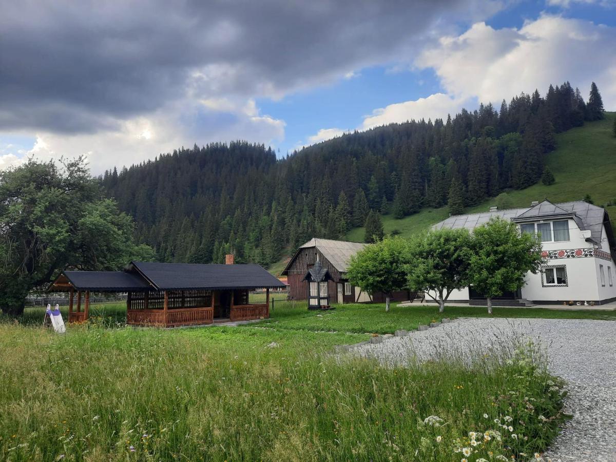 Casa Dumitru Si Elena Ciocanesti Bucovina Extérieur photo