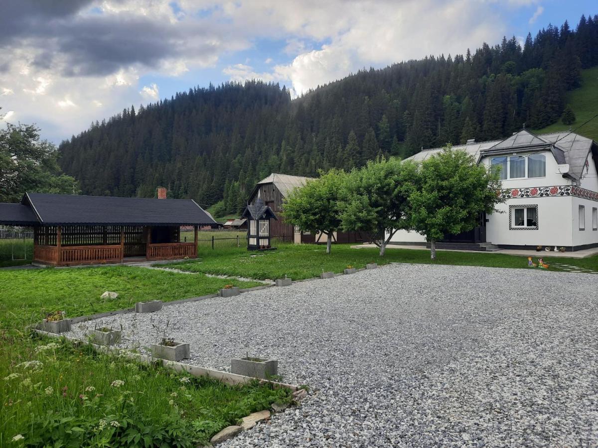 Casa Dumitru Si Elena Ciocanesti Bucovina Extérieur photo