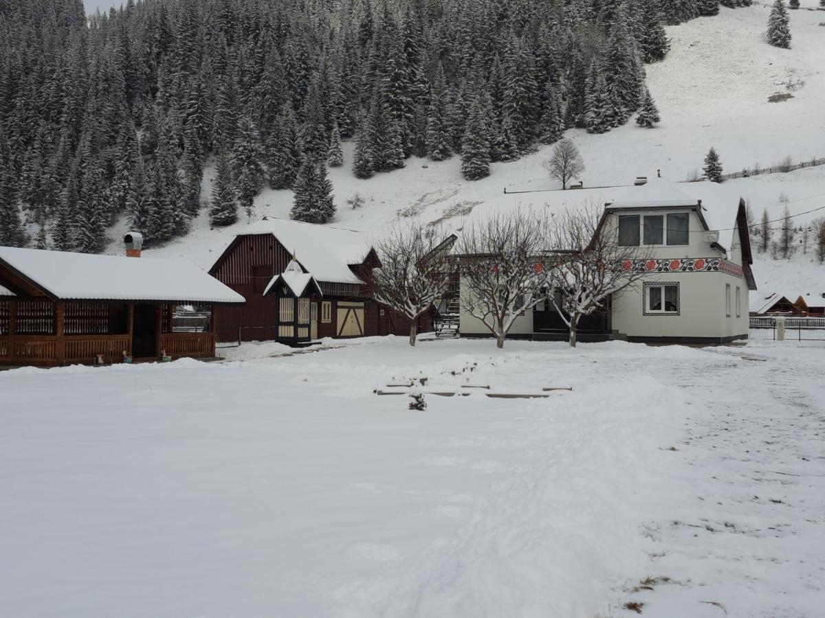 Casa Dumitru Si Elena Ciocanesti Bucovina Extérieur photo