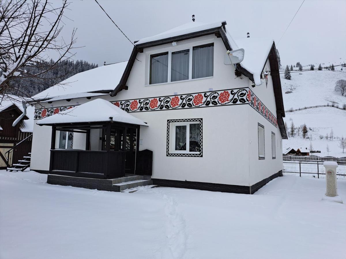 Casa Dumitru Si Elena Ciocanesti Bucovina Extérieur photo