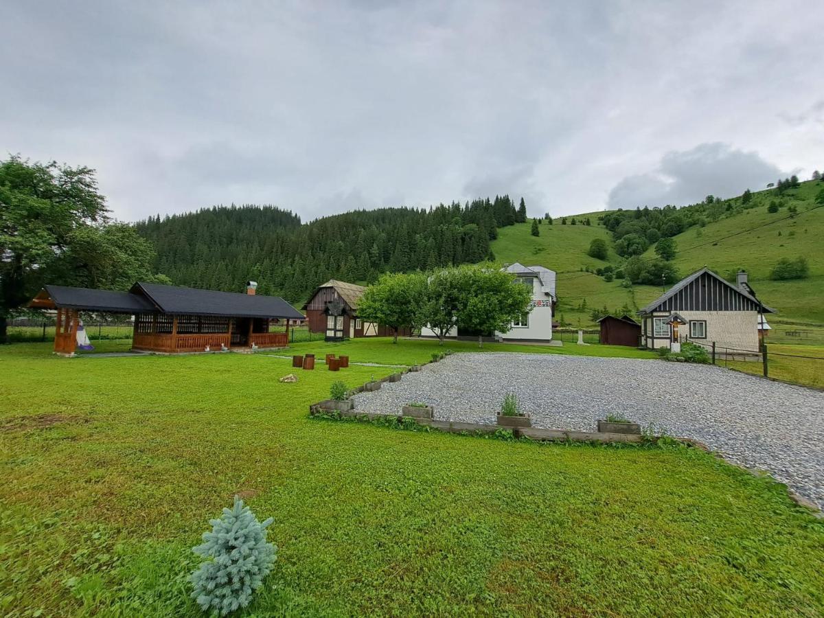 Casa Dumitru Si Elena Ciocanesti Bucovina Extérieur photo